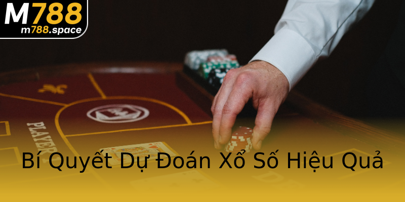 Bí Quyết Dự Đoán Xổ Số Hiệu Quả Bí Quyết Dự Đoán Xổ Số Hiệu Quả