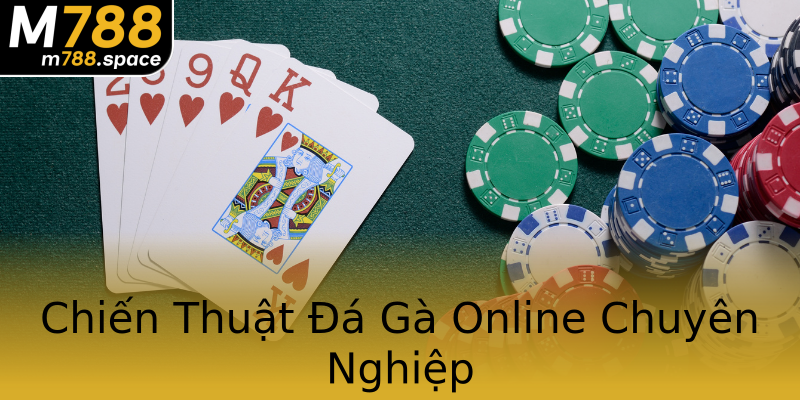 Chiến Thuật Đá Gà Online Chuyên Nghiệp Chiến Thuật Đá Gà Online Chuyên Nghiệp