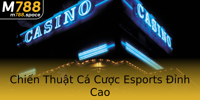 Chiến Thuật Cá Cược Esports Đỉnh Cao Chiến Thuật Cá Cược Esports Đỉnh Cao