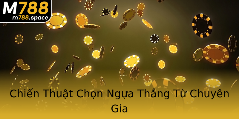 Chiến Thuật Chọn Ngựa Thắng Từ Chuyên Gia Chiến Thuật Chọn Ngựa Thắng Từ Chuyên Gia