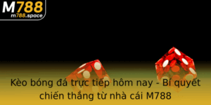 Keo Bong A Truc Tiep Hom Nay Bi Quyet Chien Thang Tu Nha Cai M788