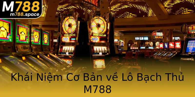 Khái Niệm Cơ Bản về Lô Bạch Thủ M788
