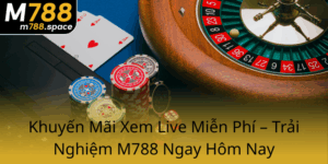 Khuyen Mai Xem Live Mien Phi Trai Nghiem M788 Ngay Hom Nay0