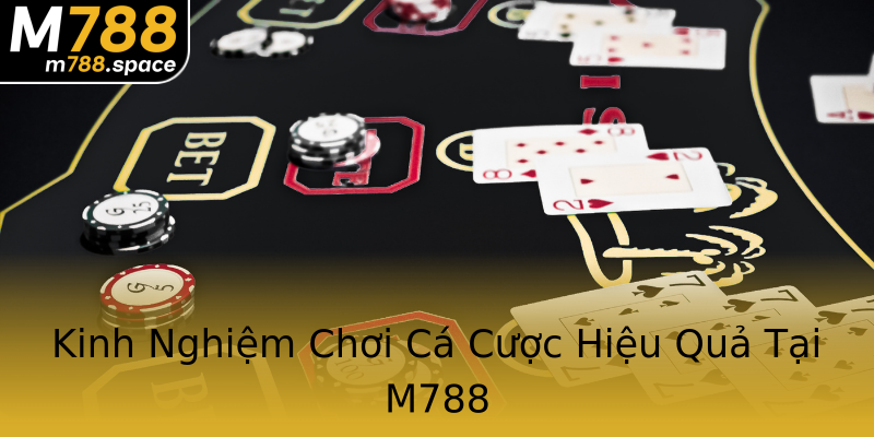 Kinh Nghiệm Chơi Cá Cược Hiệu Quả Tại M788 Kinh Nghiệm Chơi Cá Cược Hiệu Quả Tại M788