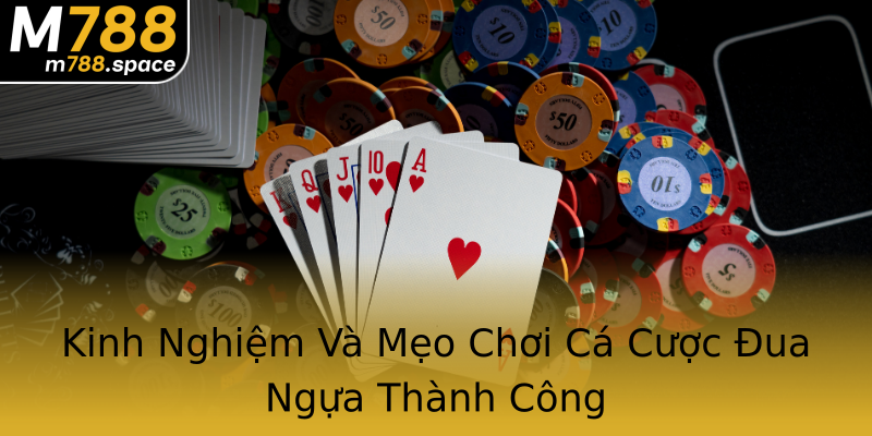 Kinh Nghiệm Và Mẹo Chơi Cá Cược Đua Ngựa Thành Công Kinh Nghiệm Và Mẹo Chơi Cá Cược Đua Ngựa Thành Công