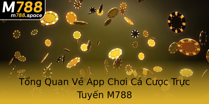 Tổng Quan Về App Chơi Cá Cược Trực Tuyến M788 Tổng Quan Về App Chơi Cá Cược Trực Tuyến M788