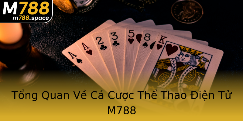 Tổng Quan Về Cá Cược Thể Thao Điện Tử M788 Tổng Quan Về Cá Cược Thể Thao Điện Tử M788